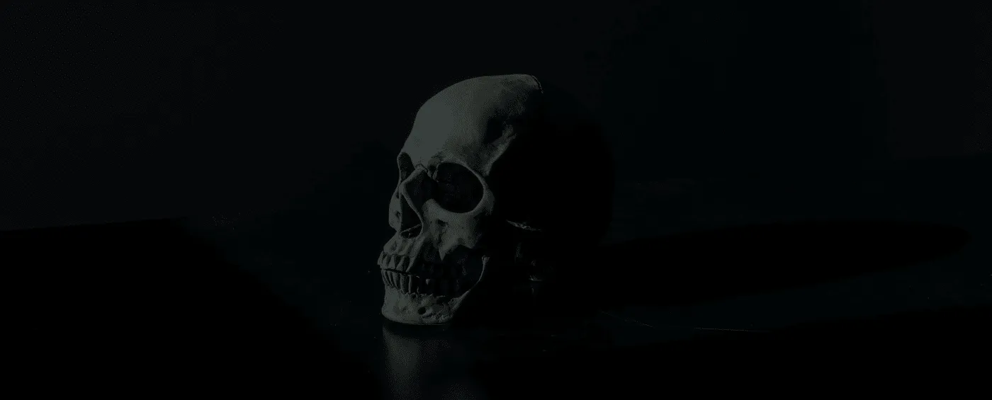 photo of a skull