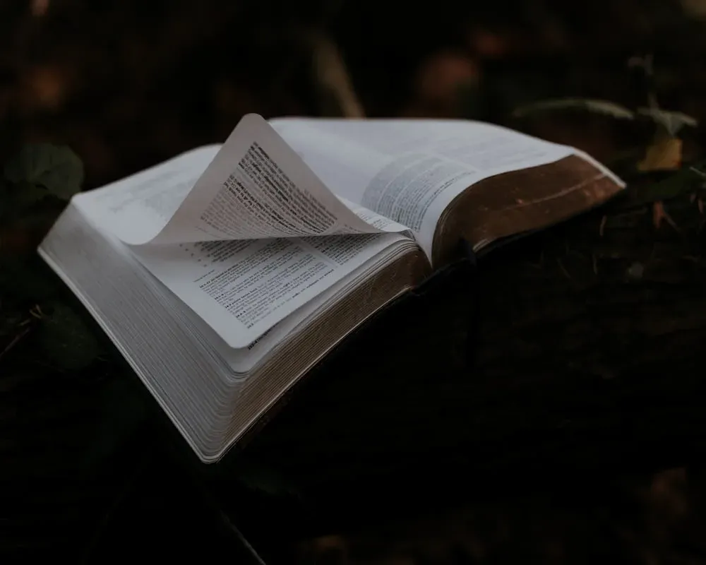 photo of book with pages opening