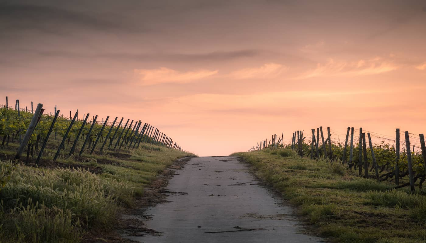 image of an outdoors path going up a hill