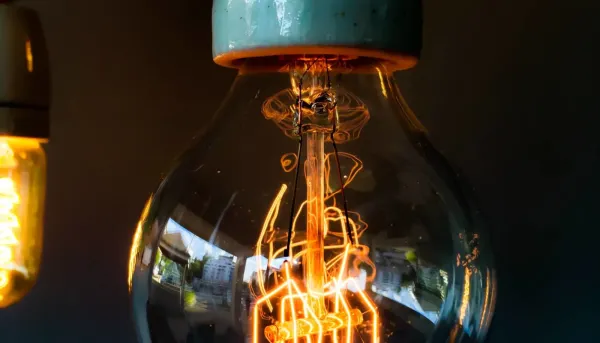 photo of detailed lightbulb