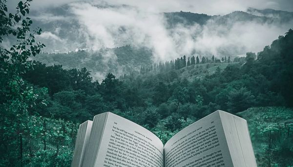 photo of a book with a forest in the background